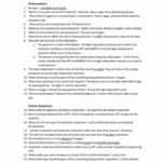 Meiosis Review Worksheet Answer Key Icon PNG