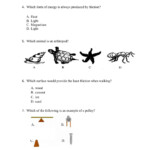 Read Free 8th Grade Science Worksheets PDF Vcon duhs edu pk