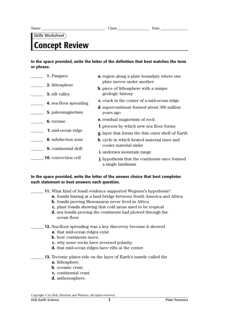 Skills Worksheet Critical Thinking Holt Biology Answers