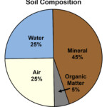 Soil Formation Worksheet Pdf Worksheet pdf Soil Formation Evaluation Directions Fill In The