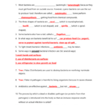 Virus And Bacteria Worksheet Key Db excel