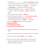 Virus And Bacteria Worksheet Key Db excel