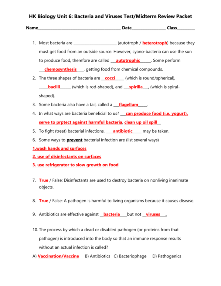 Virus And Bacteria Worksheet Key Db excel