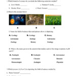 Working Like A Scientist Worksheet 2 Worksheet