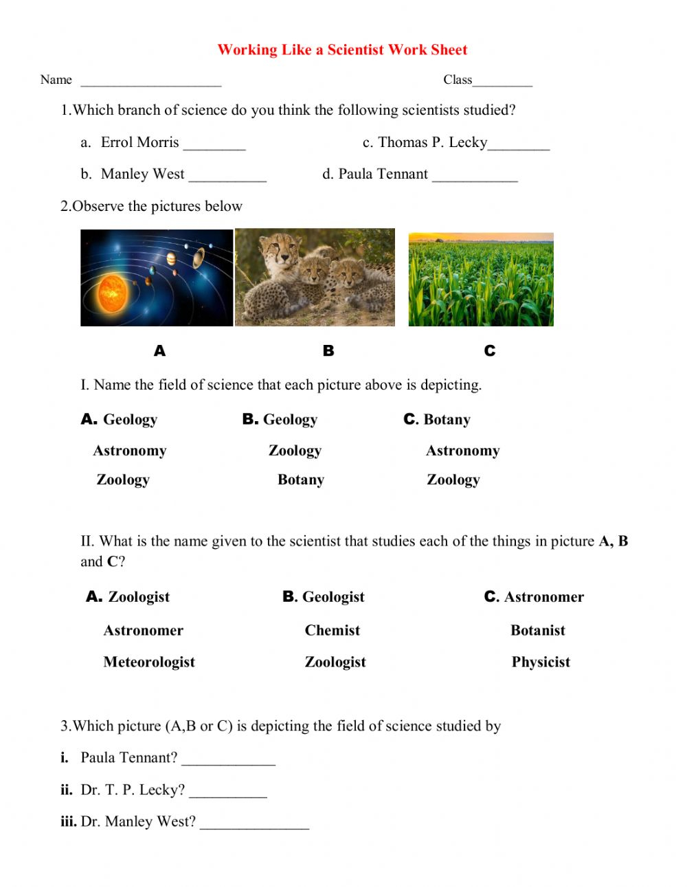Working Like A Scientist Worksheet 2 Worksheet