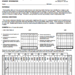 10 Skills Assessment Tips And Examples PDF Examples