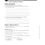 13 7th Grade Life Science Worksheets Worksheeto