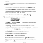 15 12 2 The Structure Of DNA Worksheet Answers Worksheeto