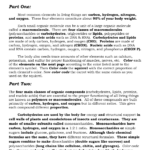 16 Carbohydrate Worksheet And Answers Worksheeto