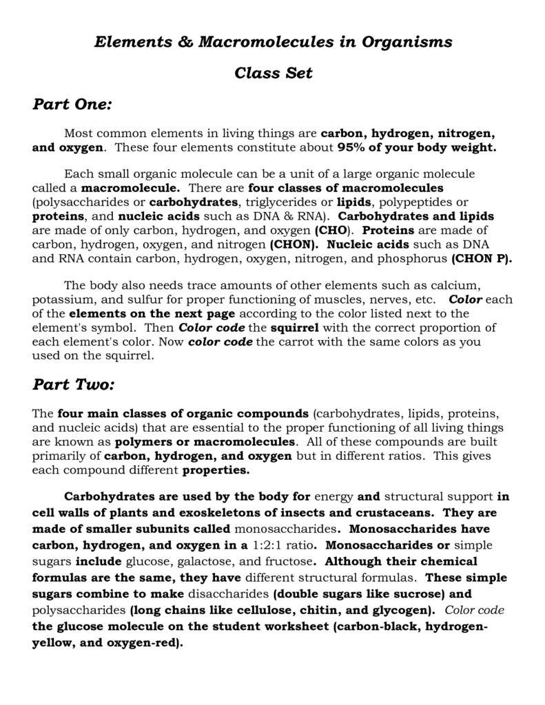 16 Carbohydrate Worksheet And Answers Worksheeto