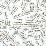 20 Minute ESL Vocabulary Lessons