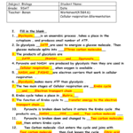 42 Cellular Respiration Worksheet Key Worksheet Master
