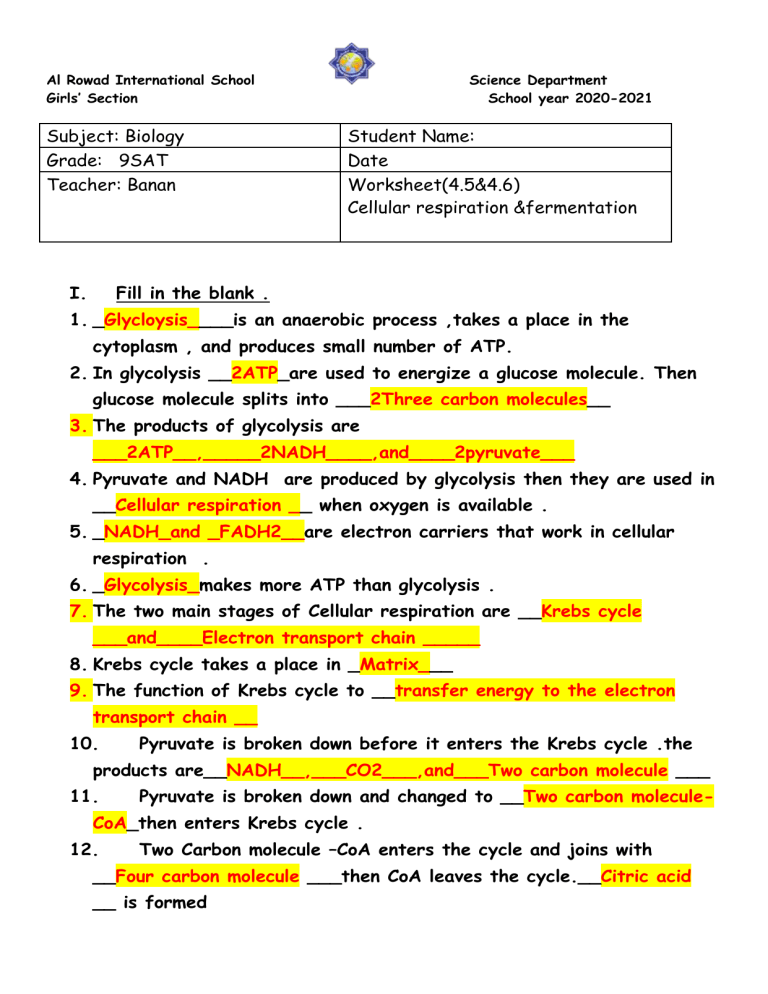 42 Cellular Respiration Worksheet Key Worksheet Master