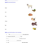 8 Best Images Of Kindergarten Sentence Worksheets Sentence Worksheets