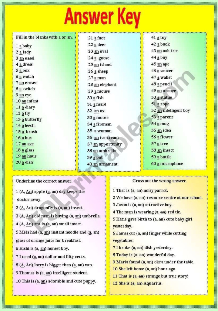 A OR AN WITH B W AND ANSWER KEY Grammar Worksheets Worksheets 