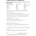 Biological Classification Worksheet Answer Key