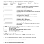 Cellular Respiration Skills Worksheet Answer Key Handmadely