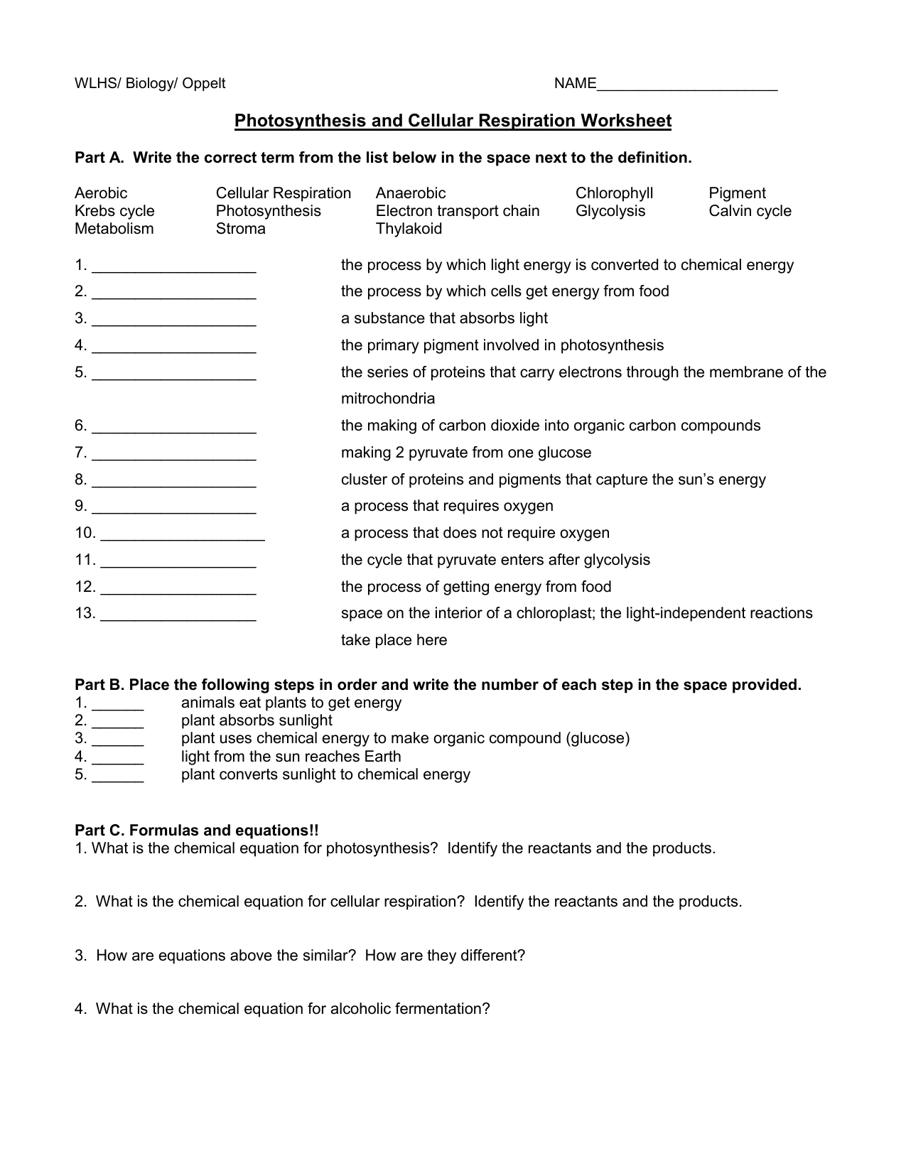 skills-worksheet-photosynthesis-and-cellular-respiration-answers-skillsworksheets