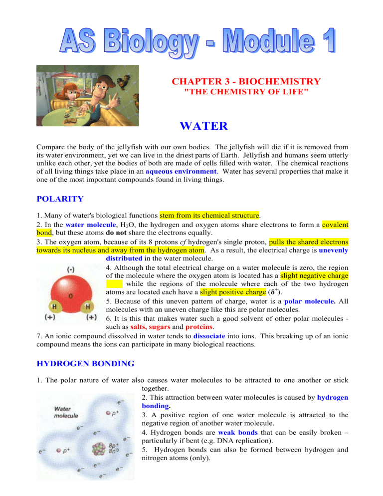 CHAPTER 3 BIOCHEMISTRY