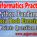 Class 11 Informatics Practices 065 Chapter 3 Python Fundamental Sumita