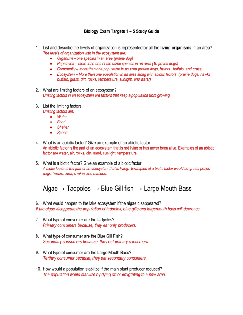 Ecological Relationships Worksheet Key Islero Guide Answer For Assignment