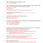 Energy Transfer Worksheets Answers