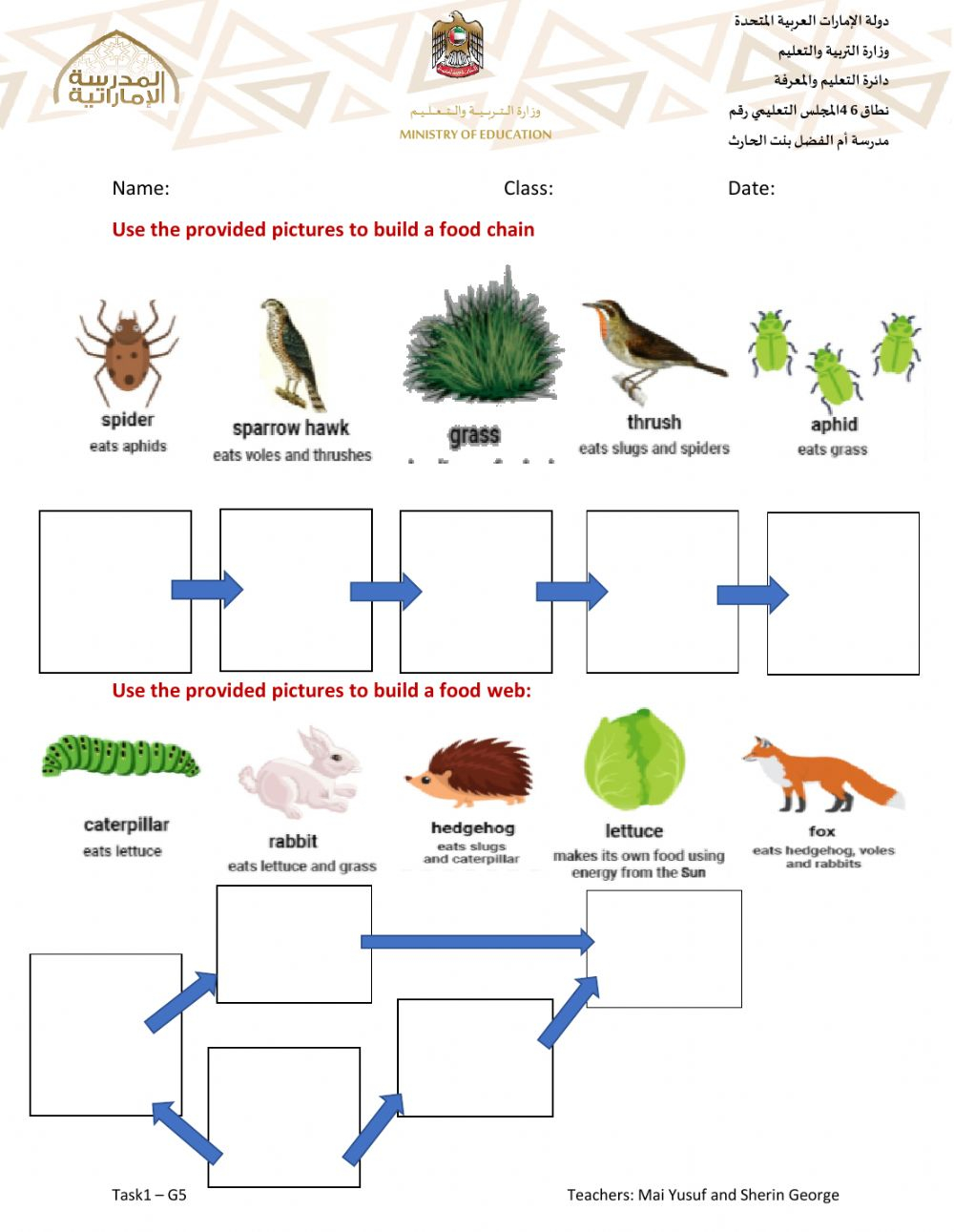 Skills Worksheet Food Chains And Food Webs SkillsWorksheets