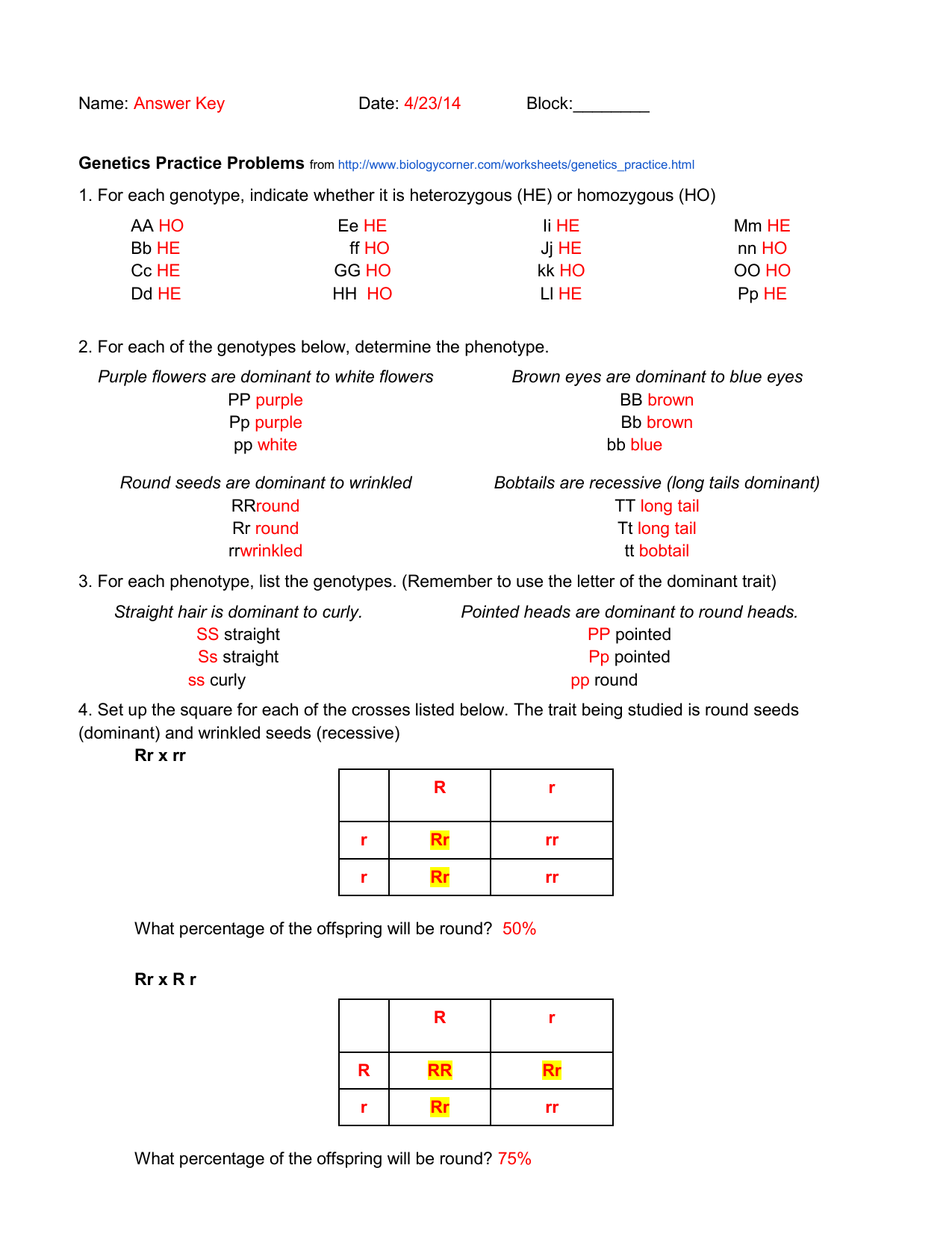 Genetics Worksheet Answers Key