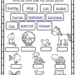 Grade 1 Life Skills Workbook TERM 3 Juffrou 911