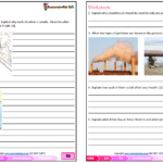 Grade 4 Life Skills Personal And Social Well being LS PSW Term 4