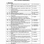 Holt Biology Cells And Their Environment Skills Worksheet Db excel