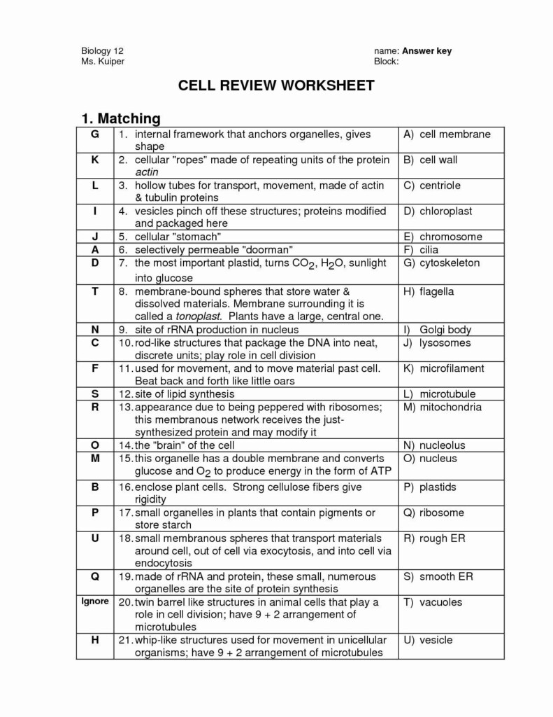 Holt Biology Cells And Their Environment Skills Worksheet Db excel