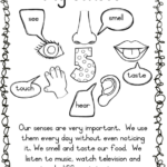 Life Skills Grade 1 Term 2 Juffrou Met Hart