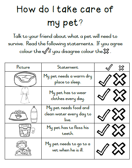 Life Skills Grade 1 Term 3 Teacha 