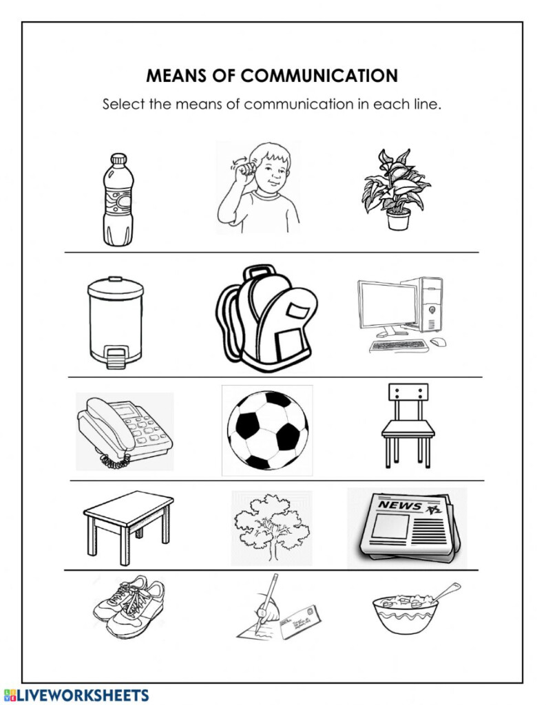 Means Of Communication Activity