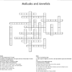 Mollusk Activities Worksheets Free Download Goodimg co