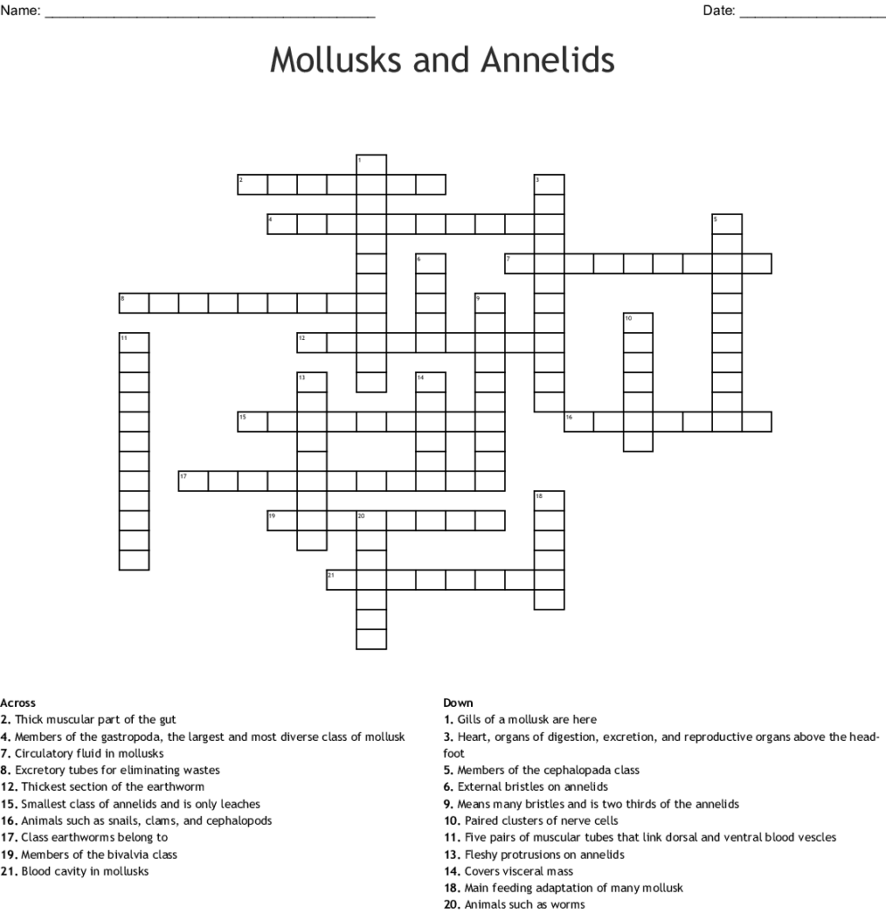  Mollusk Activities Worksheets Free Download Goodimg co