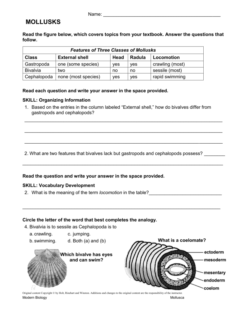 MOLLUSKS Read The Figure Below Which Covers Topics From Your