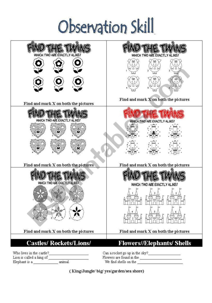 Observation Skills ESL Worksheet By Jhansi