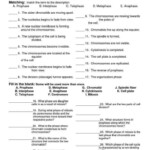 Reinforcement And Vocabulary Review Worksheets Answers Kamberlawgroup