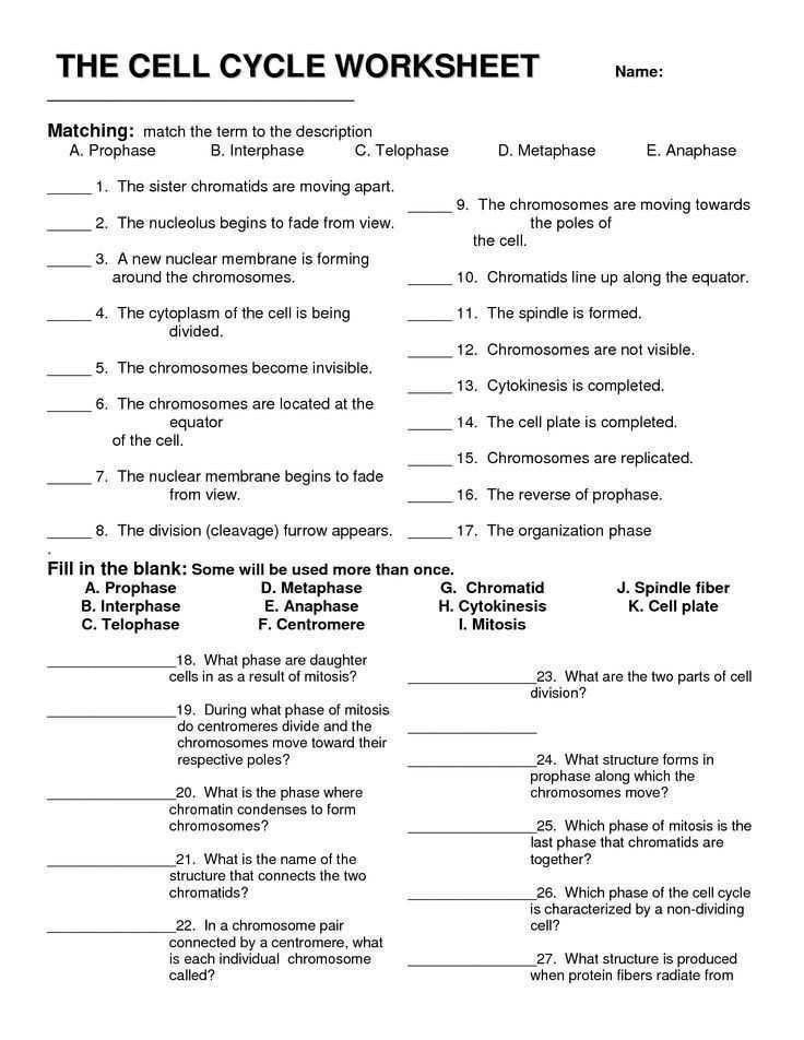 Reinforcement And Vocabulary Review Worksheets Answers Kamberlawgroup