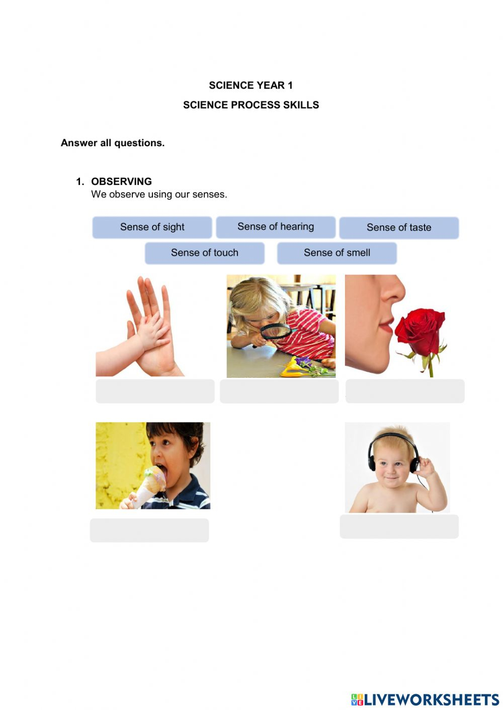 Science Process Skills Worksheet Science Process Skills 1 Year 3