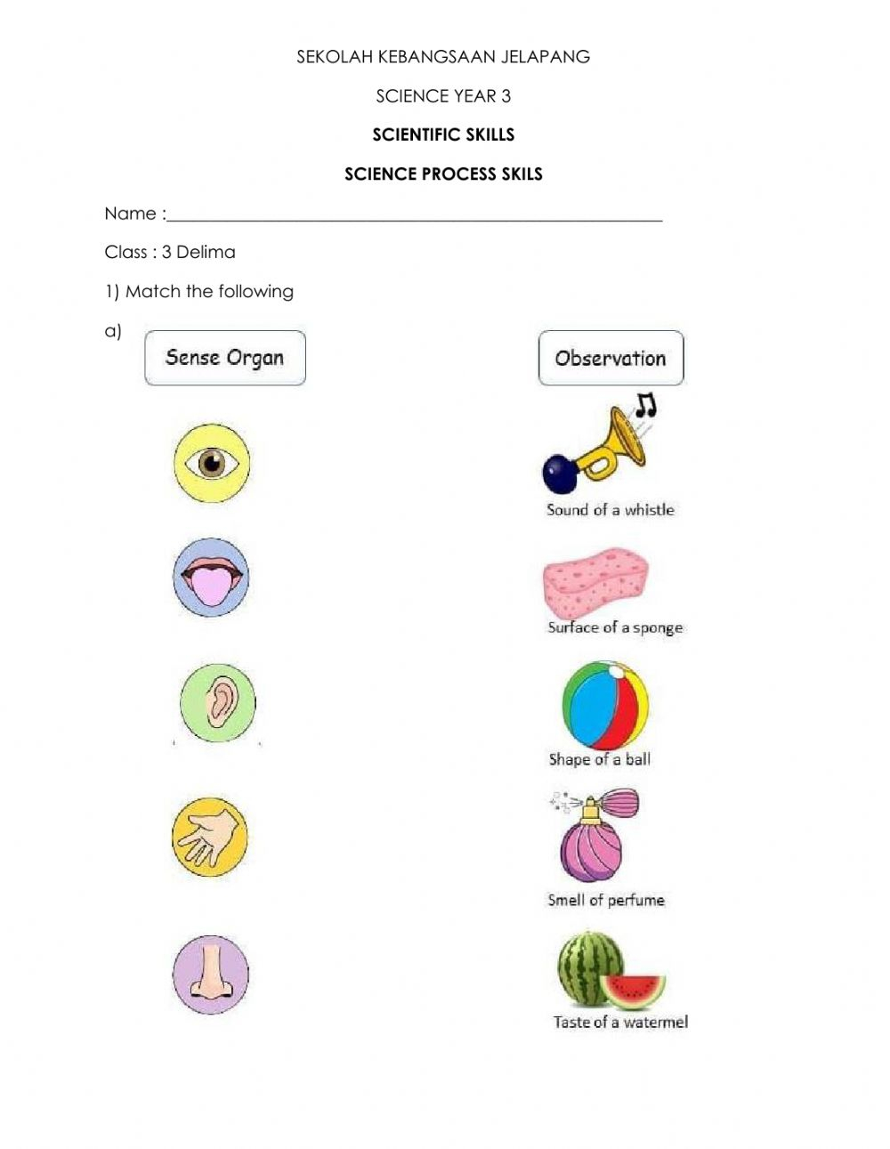 Science Skills Worksheet Answer Key