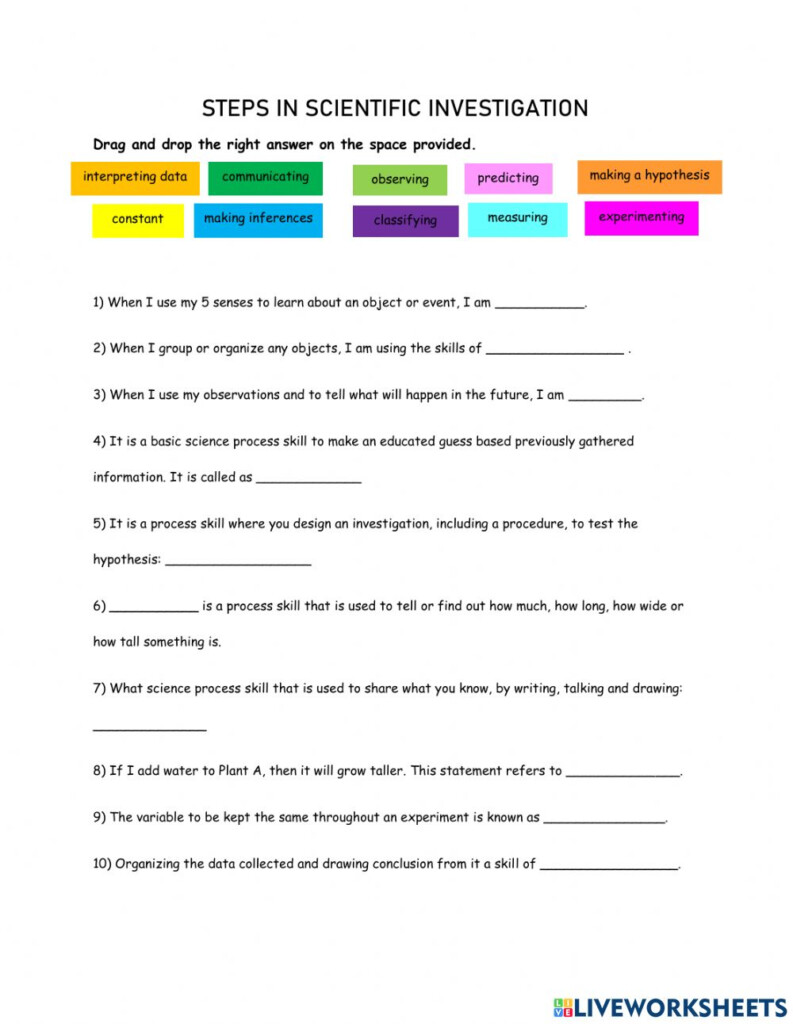 Science Skills Worksheet Answer Key