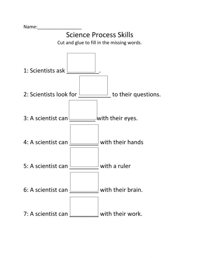 Science Skills Worksheet Answer Key