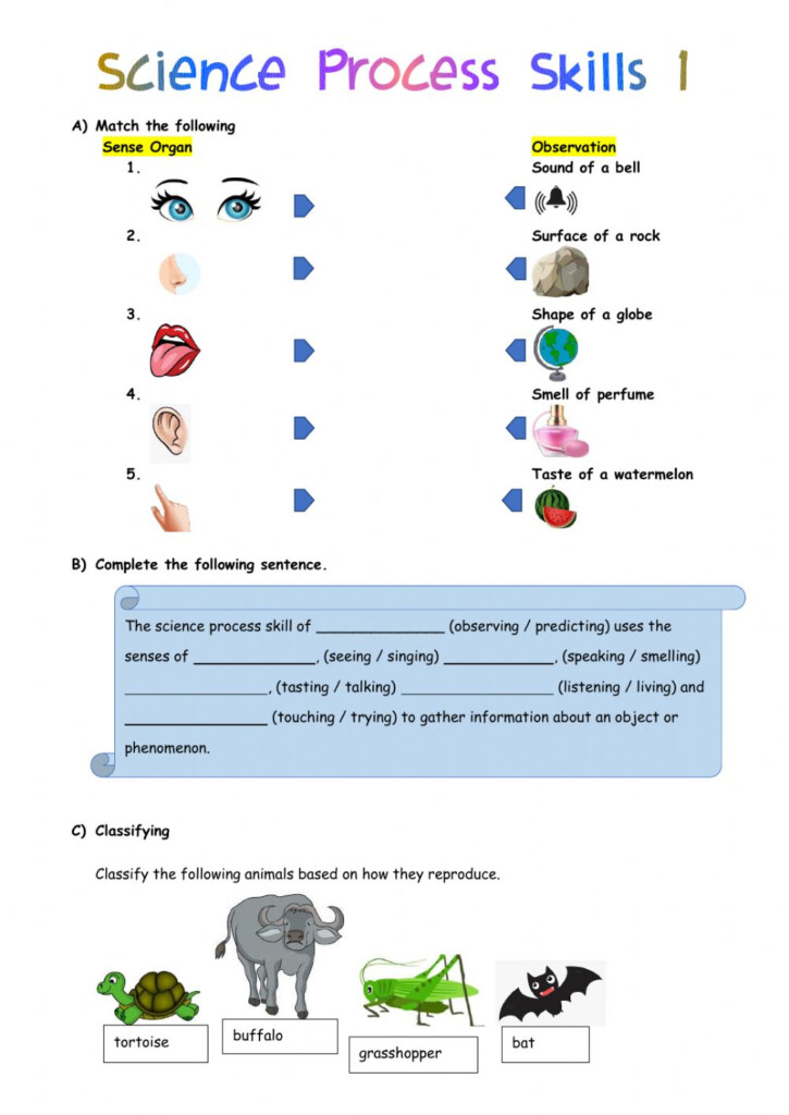 Science Year 2 Dlp Worksheet Classify Teaching Learning Module Kssr 