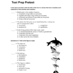 Skills Worksheet