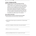 Skills Worksheet Active Reading