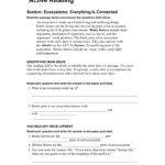 Skills Worksheet Active Reading Answer Key Db excel