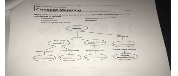Solved Class HW 3 29 Skills Worksheet Concept Mapping Concept Map